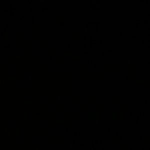 Meet your Posher, Cody